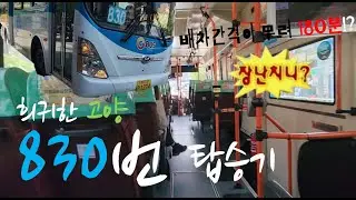 배차간격 180분(?) 농어촌버스 뺨치는 고양 830번 탑승기