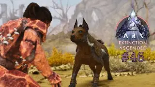 ASA Story Modded EXTINCTION #46 - Perfect Tame Doggos