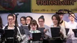 Asociaţia Tinerii din Ziua de Azi - Festivalul Suflet Transilvan 2015