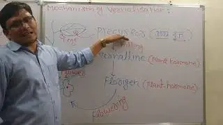Growth Physiology  L -10 ||  Vernalisation Based on NCERT