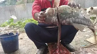 Amazing Big Mirror Carp Fish Cutting Skills In Bangladesh Local Fish Market 