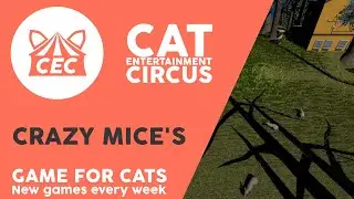 3D CAT CRAZY GAME  4K 30 Minutes - Catch mouse with sounds
