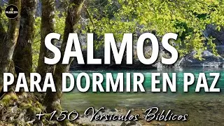 Biblia en audio para dormir | Salmos | Dios te habla | 12HRS
