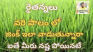 వరిలో జింక్ లోపం నివారణ|varilo zinc lopam nivarana|zinc deficiency in rice| BB agriculture telugu