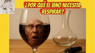 (337) ¿POR QUÉ EL VINO NECESITA RESPIRAR?