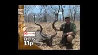 Tracks Across Africa - Namibia - Two Kudus