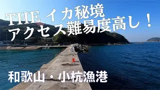 【釣り場動画#21】和歌山の秘境ポイント小杭漁港は雰囲気もアクセス難易度も最高の釣り場（エギング・ヤエン・キス釣り）