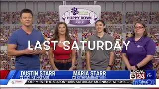 Pet Suites Puppy Bowl 2019 Highlights
