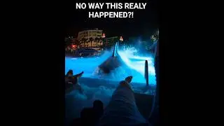 Chilling by the Pool&hellip; Until THIS Happened 😳🦈💀#shorts
