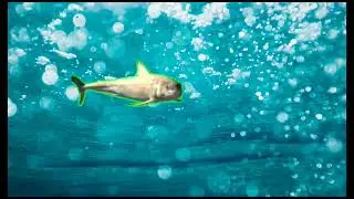 # greenscreen  fish # no copyright   # animations