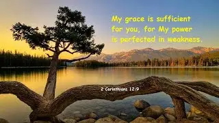 Grace over Shame