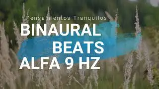 Gnaural Binaural Beats Alfa 9 Hz Pensamientos Tranquilos