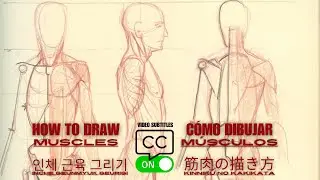 How to Draw Muscles: A Figure Drawing Foundation Course (extract)