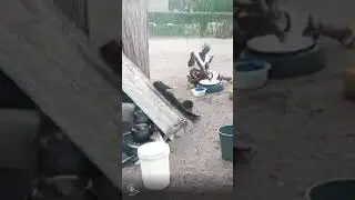 Mozambique: Outdoor Cooking