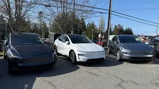 Tesla Model Y Refresh Colors Comparison | Stealth Grey Vs Pearl White MultiCoat Vs Quicksilver
