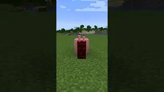 How to make a snail in Minecraft