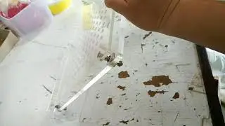 Bottom Sheet of Capsule Filler Height Adjustment Video1