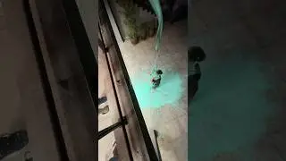 FUI TROLLADO COM UM BALDE DE SLIME NA CABE&Ccedil;A! #shorts