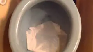 1955 Standard Compton Toilet