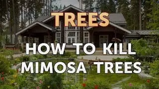 How to Kill Mimosa Trees