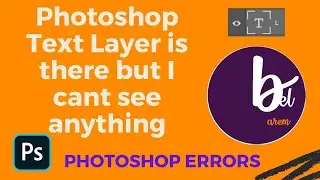 Photoshop Text Layer is there but I cant see anything (Photoshop Errors)