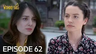 Wounded Birds | Episode 62