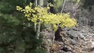 Video of Cascade Campground - San Isabel National Forest, CO from N I.