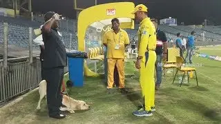 MS Dhoni Gets A Royal Salute From Security Dog Squad At MCA Stadium in Pune | CSK vs SRH  Match