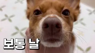 무탈한게 좋은 보통의 날