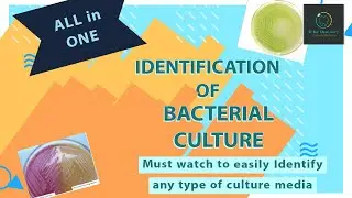 Identification of BACTERIAL Culture Media | MICROBIOLOGY LAB PRACTICAL