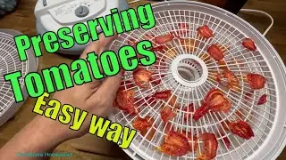 Save Time and Money: Drying and Freezing Tomatoes Tutorial