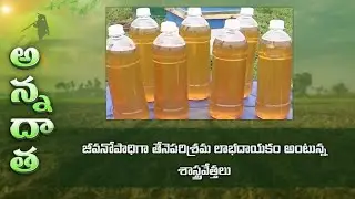 Tips For Honey Bee Keeping | జీవనోపాధిగా తేనెపరిశ్రమ లాభదాయకం అంటున్న శాస్త్రవేత్తలు | ETV Telugu