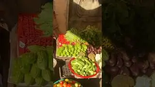 Market tour | fresh vegetables, fresh fish at local market #markettour #walkingtour #streetfoodtour