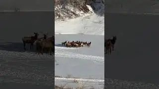 ⭐️Only in UTAH!!! Pulled off the road to see THIS!⭐️ #utahliving #livinginutah #movingtoutah #utah
