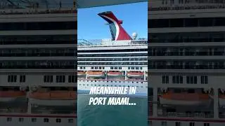 Meanwhile in Port Miami, Florida #travel #shorts #cruise
