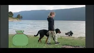 BREED 101 ROTTWEILERS- HISTORY OF THE ROTTWEILER ~DRK PRESERVATION BREEDER~
