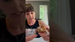 MBD shell vs. healthy shell in 3 toed box turtles