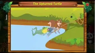 The upturned turtle..story 🐢