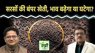 Commodity Market : Mustard में अब क्या रणनीति बनाएं कारोबारी? Trading | NCDEX