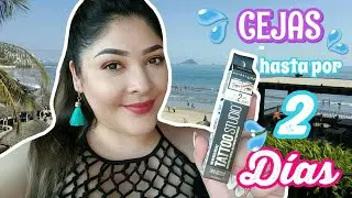 EL MEJOR PRODUCTO PARA CEJAS WATERPROOF??? | MAYBELLINE TATTOO STUDIO | ALE MARTÍNEZ