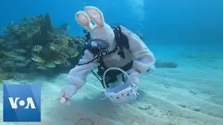 Underwater Easter Egg Hunt Begins Off Florida Keys