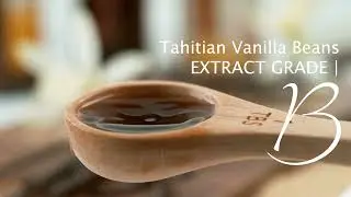 Extract Vanilla Beans | Grade B