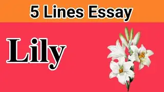 Essay on Lily Flower 5 Lines Essay | Lily Flower Essay Urdu Hindi Essay | By ARJ
