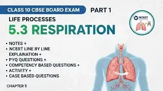 Respiration in Human Beings |Life Processes Class 10 | NCERT Line by Line | PYQ Competency|Activity 