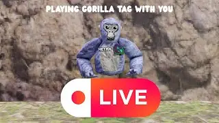 Gorilla Tag Playing With You #shorts