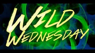 WrestleMania 36 TIER DESIGN LEAK!!!Wild Wednesday and more!!! |WWE SUPERCARD SEASON 6