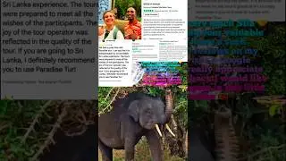 Yala Morning Safari Tour😍🤳🐘👌@ParadiseTukTukTours #shorts #ytshorts #srilanka