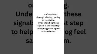 Calm Dog Tips Simple Ways to Ease Dog Anxiety Fast #shorts