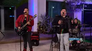 Los Desvelados - Mr Seal The Deal (En Vivo 2021)