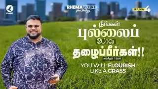 நீங்கள் புல்லைப் போல தழைப்பீர்கள்!! #rhemaword #ruahtv #alwinthomas